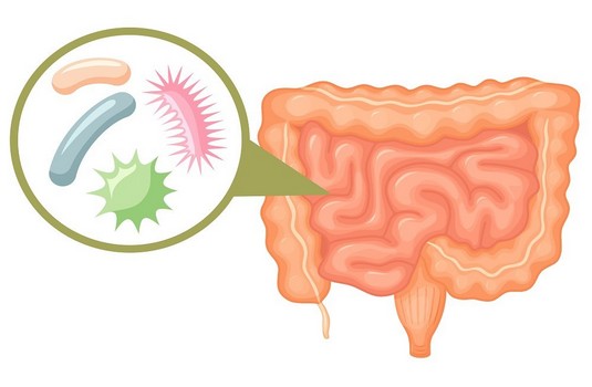  Chronic gastritis - Naturopathy